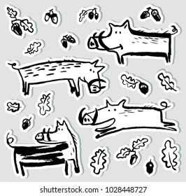 Stickers set with cute boars. Collection with wild pigs and acorns. Vector illustration with natural objects and forest inhabitants. Hand drawn design element in children incomplete style