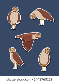 Stickers Set of cute funny owl with tilted leaned head, in flight. Vector illustration of cartoon forest night birds.