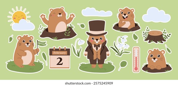 A stickers set of cute groundhogs with the calendar is on February 2 groundhogs day