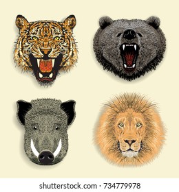 stickers set of lion grizzly boar tiger