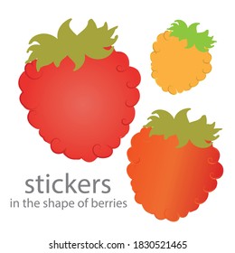 Stickers in the shape of a raspberry vector on a white background. Illustration of berries for printing, print on fabric, clothing, notebooks, juice, marmalade