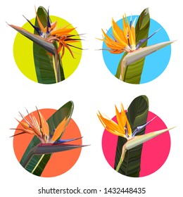 Stickers with Strelitzia Reginae orange tropical flower bouquets vector set isolated on white. Green leaves, orange and violet blossom. Design set. Vector illustration, EPS 10