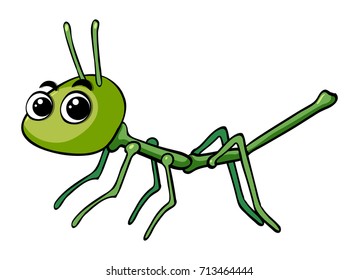 Stickinsect on white background illustration
