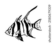stickleback fish, vector sketch fish line ink sketch. Hand drawn