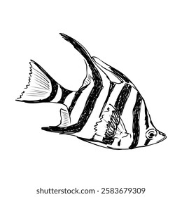 stickleback fish, vector sketch fish line ink sketch. Hand drawn