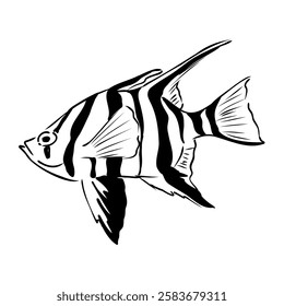 stickleback fish, vector sketch fish line ink sketch. Hand drawn