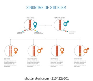 Stickler syndrome, chromosome with mutation of the COL2A1 gene.