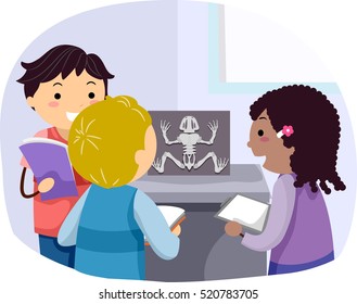 Stickman Illustration of a Group of Preschool Kids Taking Notes While Observing the Skeleton a Dissected Frog