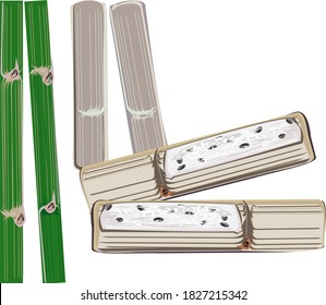 Sticky rice in bamboo tubes (Khao Lam, Thai name) is a popular food made from sticky rice mixed with coconut milk and nuts. Cereal. Appetizer in Thailand. Vector illustration