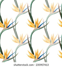  Stieglitz, pattern, watercolor