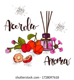 Still life with branch acerola cherry, fruit, flower and glass bottle with oil and accessories . Detailed hand-drawn sketches and lettering, vector botanical illustration.