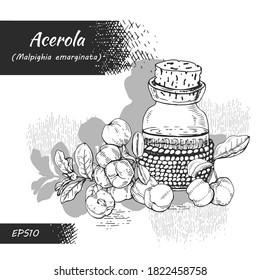 Still life with branch acerola cherry, fruit, flower and glass bottle with oil and accessories . Detailed hand-drawn sketches, vector botanical illustration.