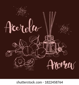 Still life with branch acerola cherry, fruit, flower and glass bottle with oil and accessories . Detailed hand-drawn sketches and lettering, vector botanical illustration.