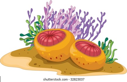 Still life of a collection of sea plants
