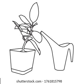 Still life consisting of ficus in a pot and a watering can.