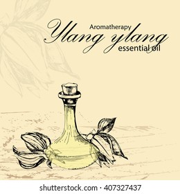 still life of cosmetology products with essential oil of cananga in the style of hand drawn