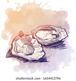 Still life drawing witha a hand holding oyster bottle of white wine and a couple of oysters laying on a table. Template for a restaurant menu. Sketch on a watercolor textured background. EPS10 vector