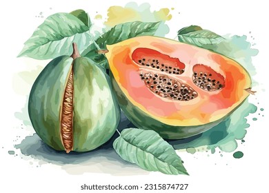 Still life with exotic melon watercolor white background.