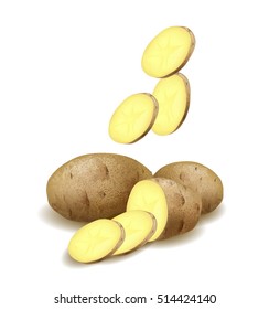 Still life of a few potato, the potato cut on a white background. Vector illustration.