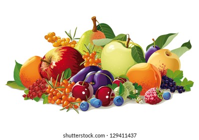 still life of fruit and berries with leaves