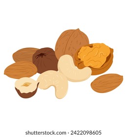Still life nuts. Vector walnut, cashew, hazelnut, almond.