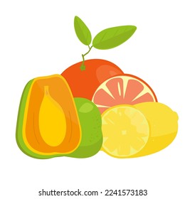 Still life of orange, lemon and papaya. Bright juicy fruit colors in vector isolated on white background