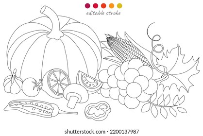 Still life and pumpkin  corn  berries   vegetables  Autumn collection  Relaxation coloring template  Editable vector illustration 
