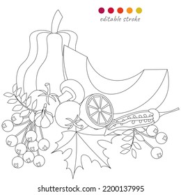 Still life and pumpkin  leaves  berries   vegetables  Autumn collection  Relaxation coloring template  Editable vector illustration 