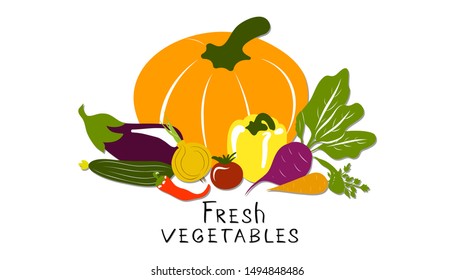 Still life of seasonal vegetables on a white background. Cucumber, tomato, pumpkin, corn, pepper, radish, carrot, eggplant, chili, onion. Fresh vegetables sign. 