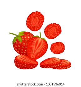 Still life with strawberries. Composition from strawberries whole, halves and chopped. Vector illustration.