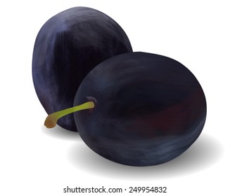 Still life with two plums, painted colors.