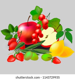 still life of various fruits