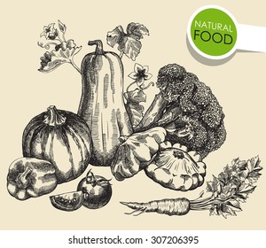 Still life of vegetables. sketch made by hand