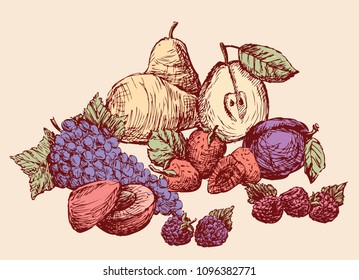 Still-life of the drawn fruit. All objects isolated