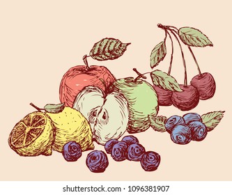 Still-life of the various drawn fruit. All objects isolated