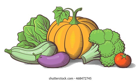 Still-life with vegetables. Pumpkin, vegetable marrow, eggplant, broccoli, lettuce and tomato. Stylized colored vector illustration