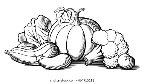 Still  life and vegetables  Pumpkin  zucchini  eggplant  broccoli  lettuce   tomato  Stylized vector illustration
