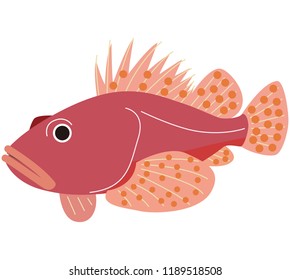 sting fish seafood fish sea