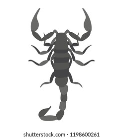 
A sting insect known as scorpion 
