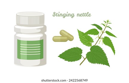 Stinging nettle capsules.  Bottle of pills and green nettle plant. Vector cartoon illustration of dietary supplements.