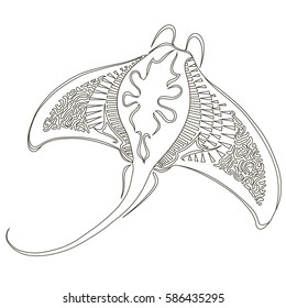 Stingray
