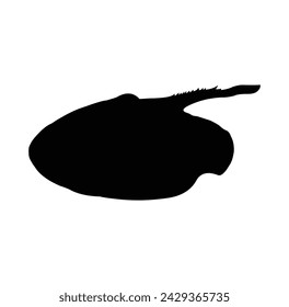 stingray or Batoidea vector design silhouette