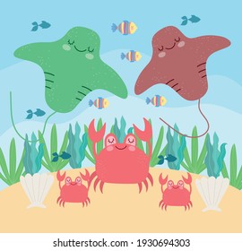 stingray crabs seashells life underwater