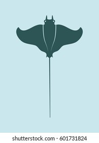 Stingray fish, Batoids fish graphic vector.