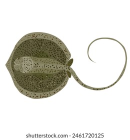 stingray fish in green color, cartoon illustration, isolated object on white background, vector, eps