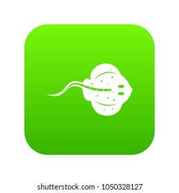 Stingray fish icon digital green for any design isolated on white vector illustration