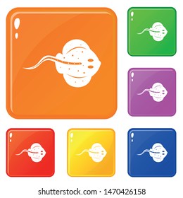 Stingray fish icons set collection vector 6 color isolated on white background