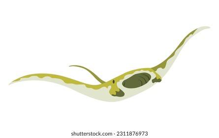 Stingray fish. Sea animal floating underwater. Cute cartoon stingray. Adorable sea creature isolated on white background. Wildlife, nature concept. Vector illustration of manta ray