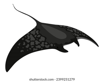 Stingray fish. Sea animal floating underwater. Cute cartoon stingray. Adorable sea creature isolated on white background. Wildlife, nature concept. Vector illustration of manta ray