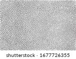 Stingray fish skin texture in black and white